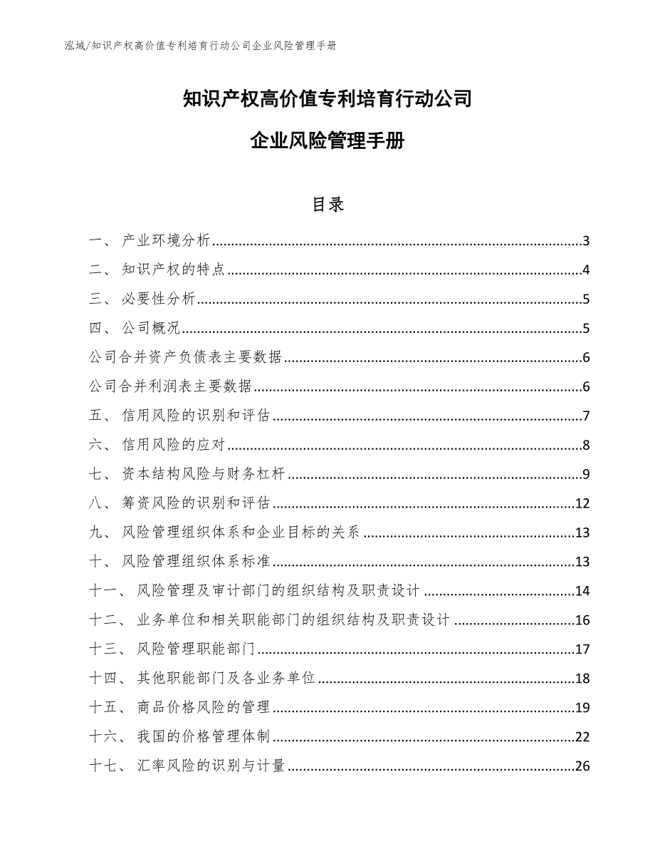 知识产权高价值专利培育行动公司企业风险管理手册（参考）_第1页