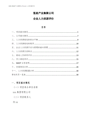 氢能产业集聚公司企业人力资源评价【范文】