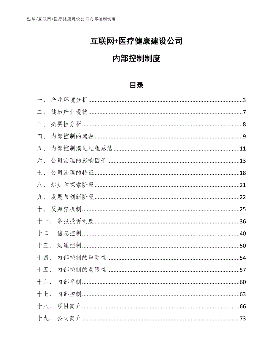 互联网+医疗健康建设公司内部控制制度_第1页