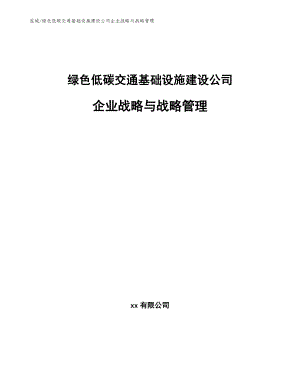 绿色低碳交通基础设施建设公司企业战略与战略管理_范文