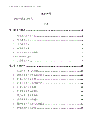 白银市加强计量基础研究项目可研报告【模板参考】