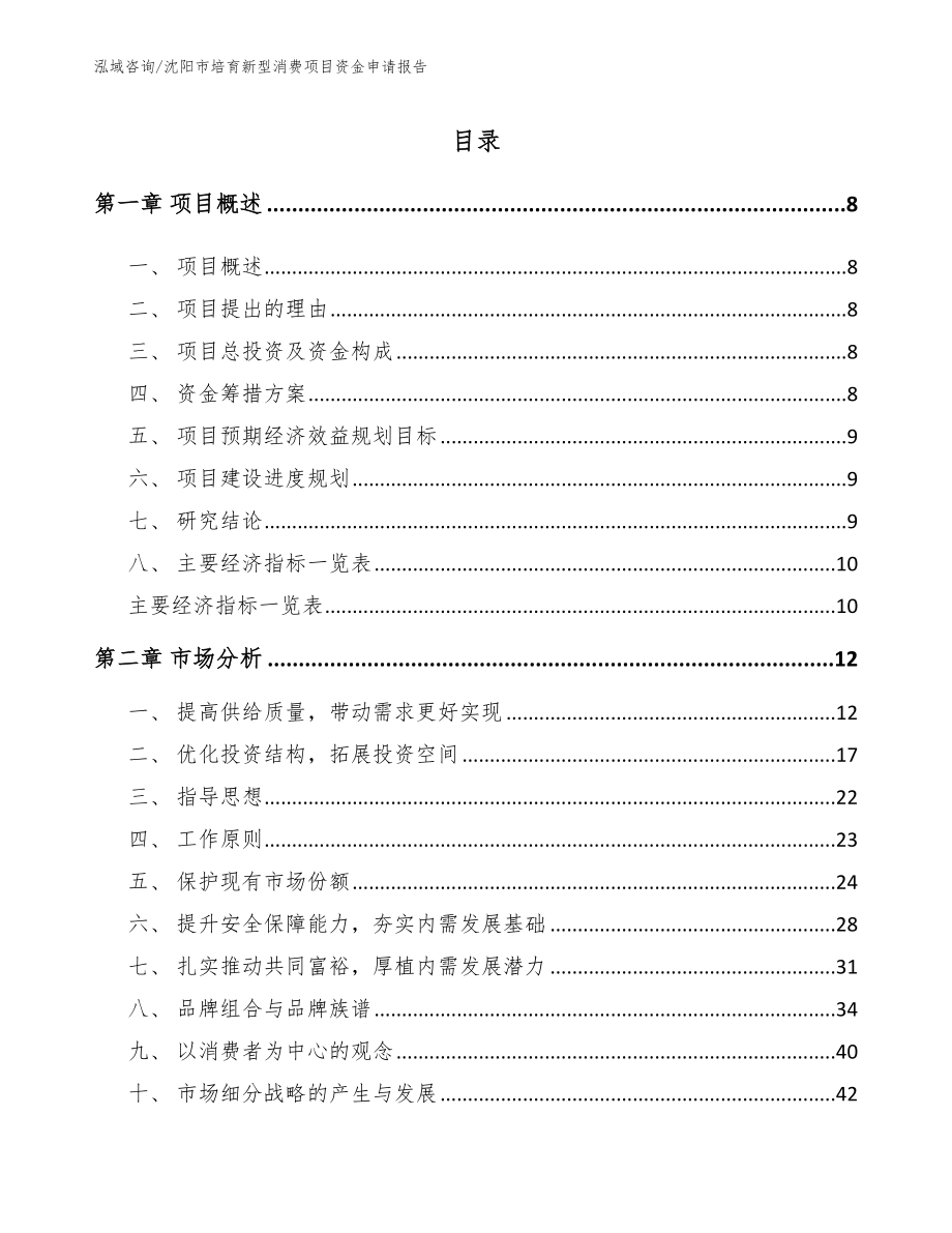 沈阳市培育新型消费项目资金申请报告【模板】_第1页