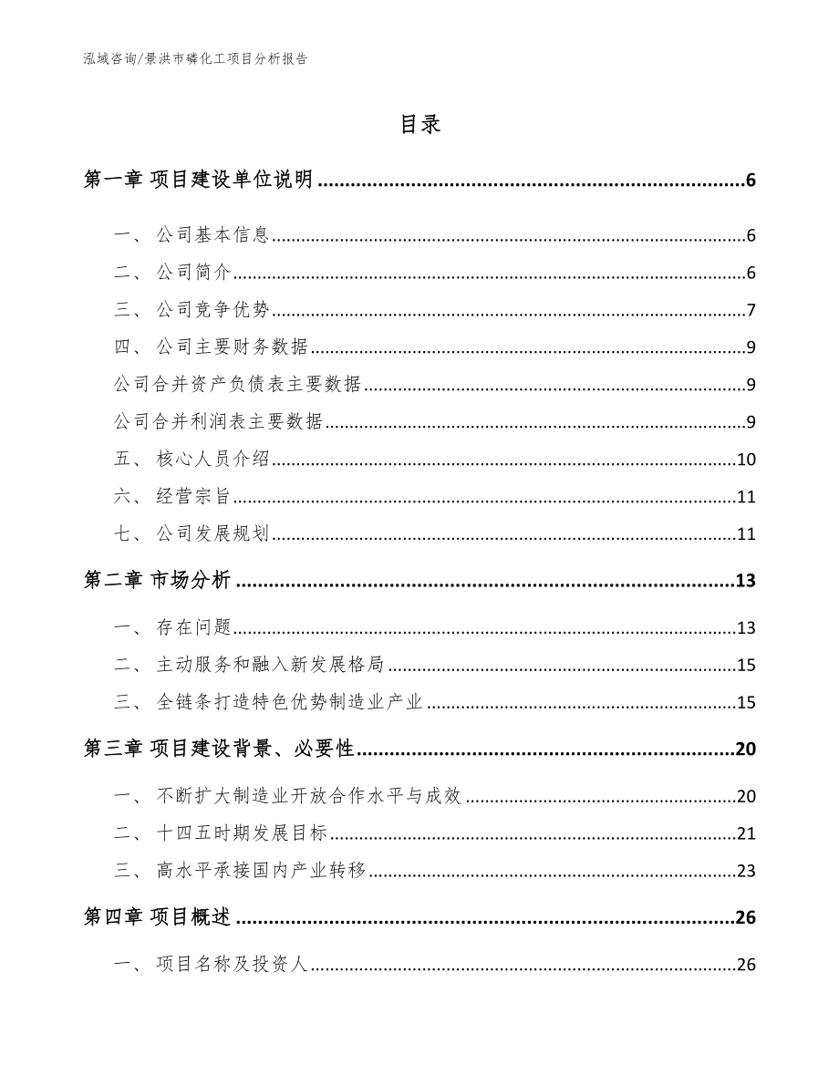 景洪市磷化工项目分析报告_第1页
