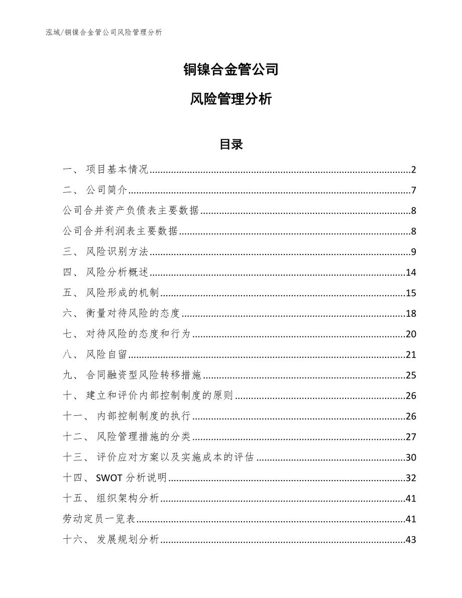 铜镍合金管公司风险管理分析_范文_第1页