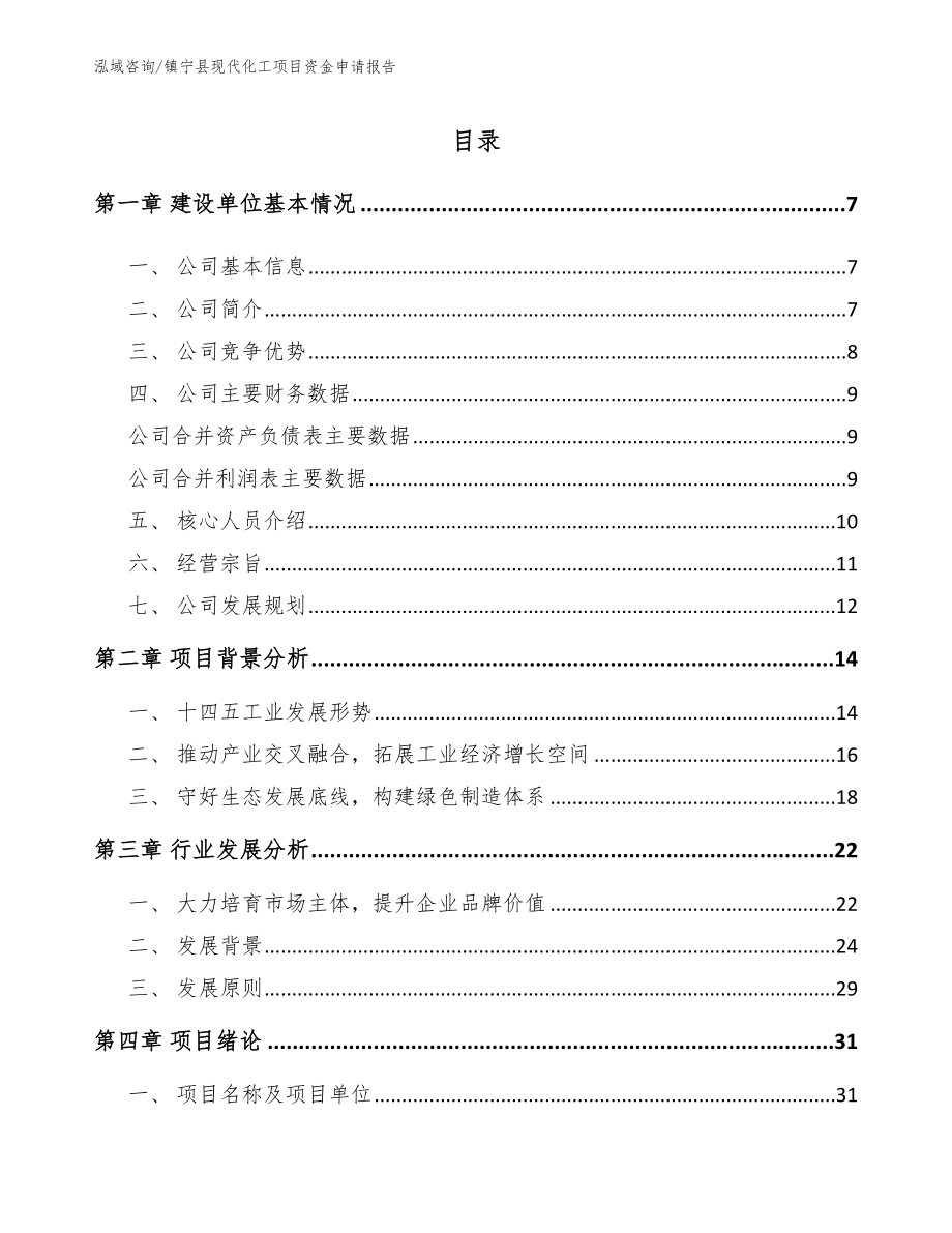 镇宁县现代化工项目资金申请报告_第1页