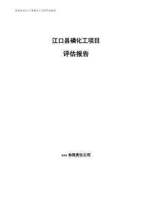 江口县磷化工项目评估报告