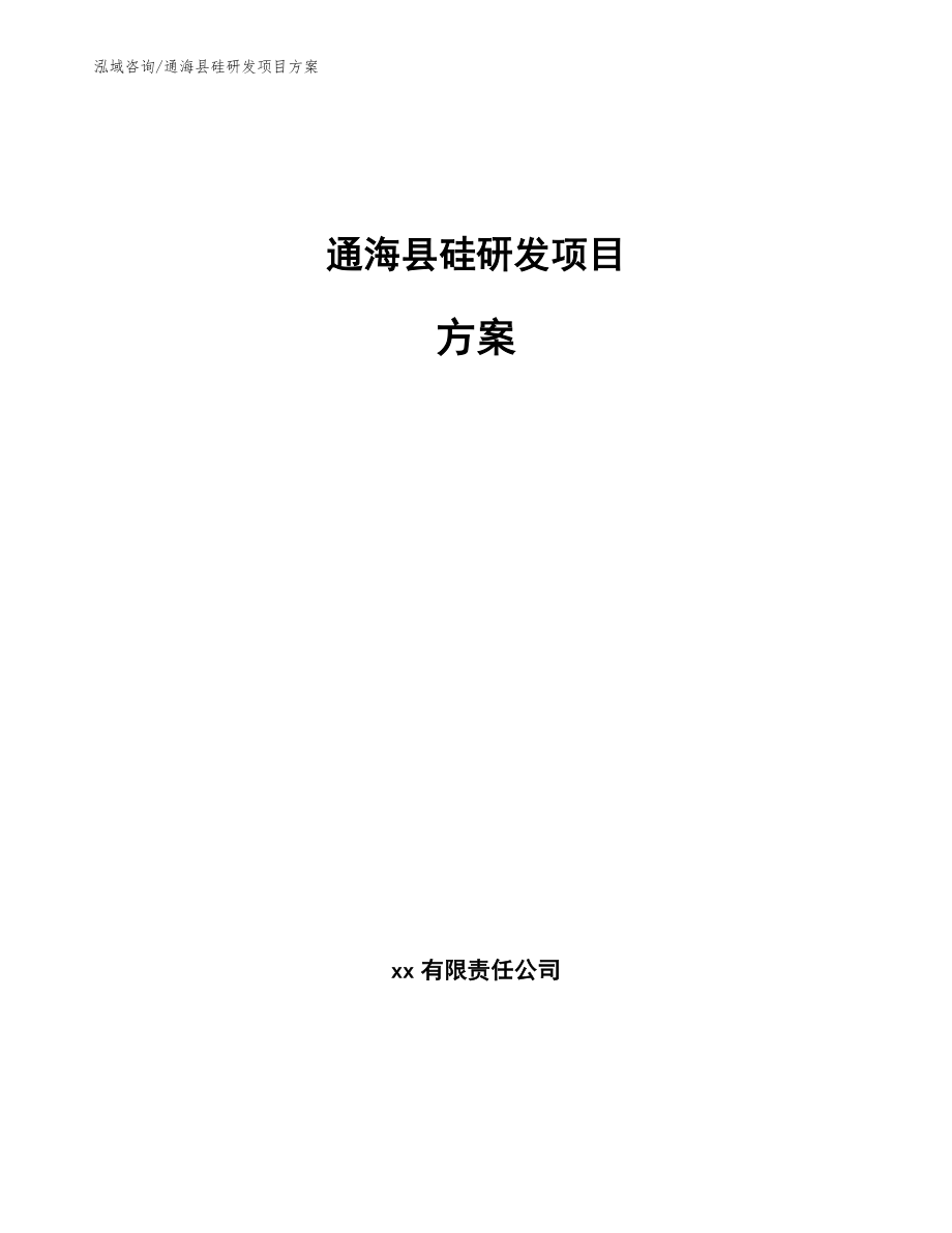 通海县硅研发项目方案范文_第1页