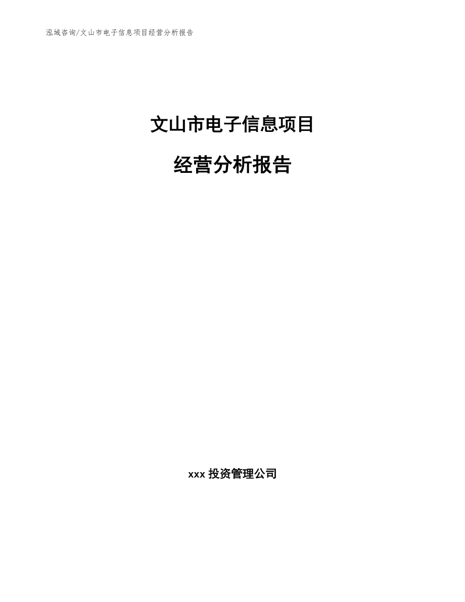 文山市电子信息项目经营分析报告_范文参考_第1页