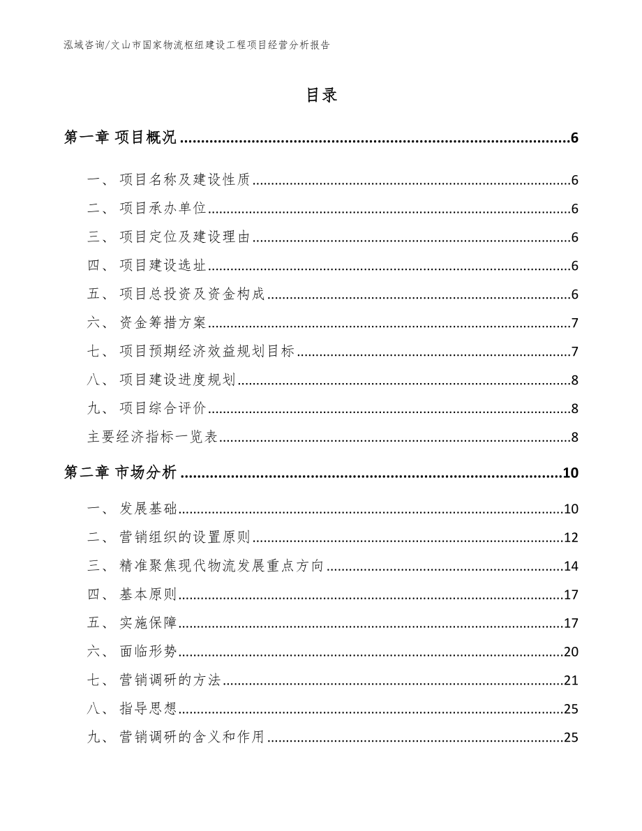 文山市国家物流枢纽建设工程项目经营分析报告_范文_第1页