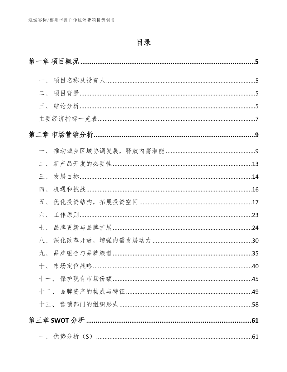 郴州市提升传统消费项目策划书【参考模板】_第1页