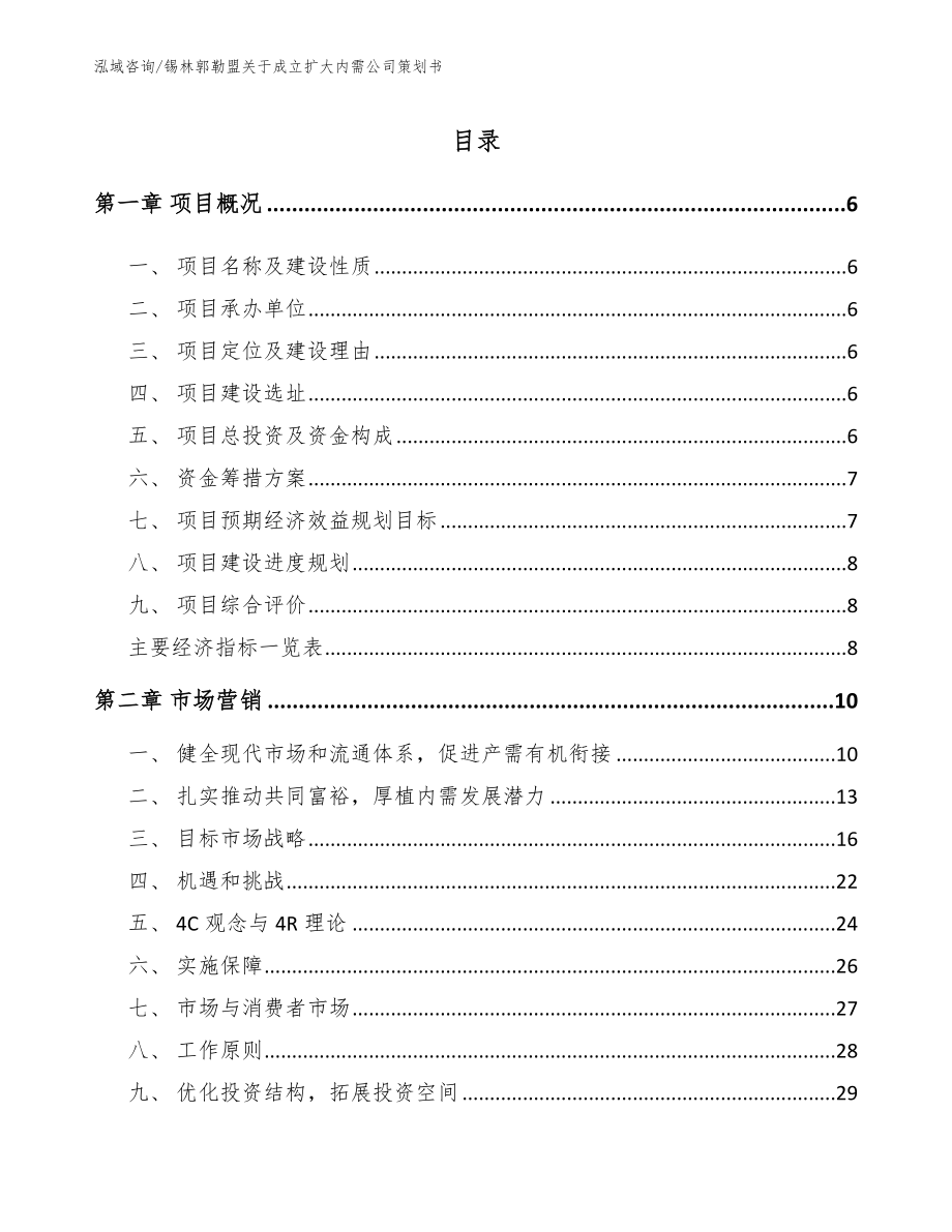 锡林郭勒盟关于成立扩大内需公司策划书（模板范本）_第1页