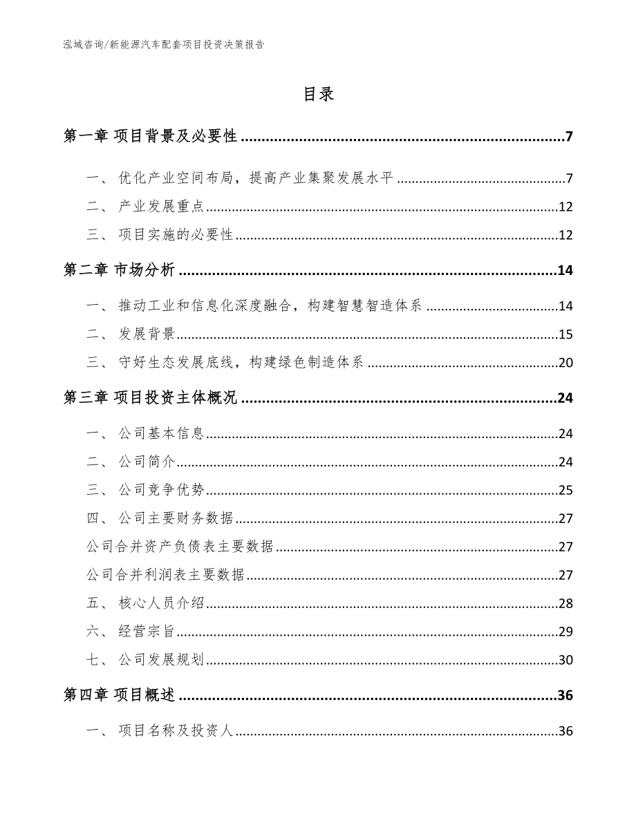 新能源汽车配套项目投资决策报告_范文_第1页