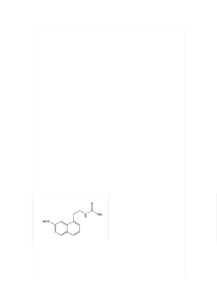 阿美宁说明书242_第1页