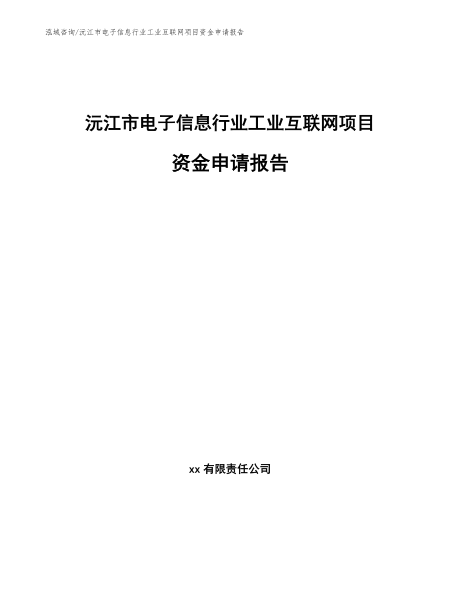 沅江市电子信息行业工业互联网项目资金申请报告（范文参考）_第1页