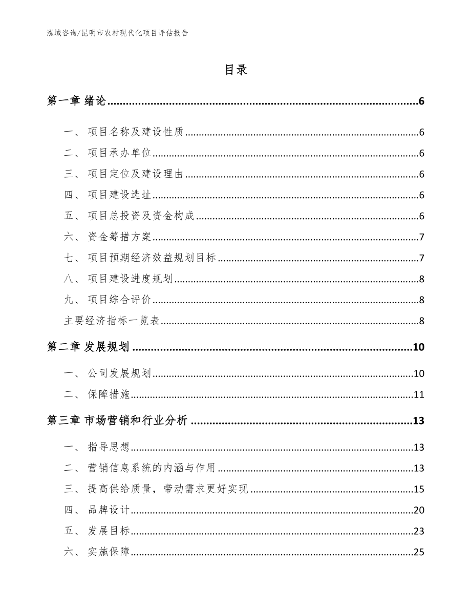 昆明市农村现代化项目评估报告模板范文_第1页