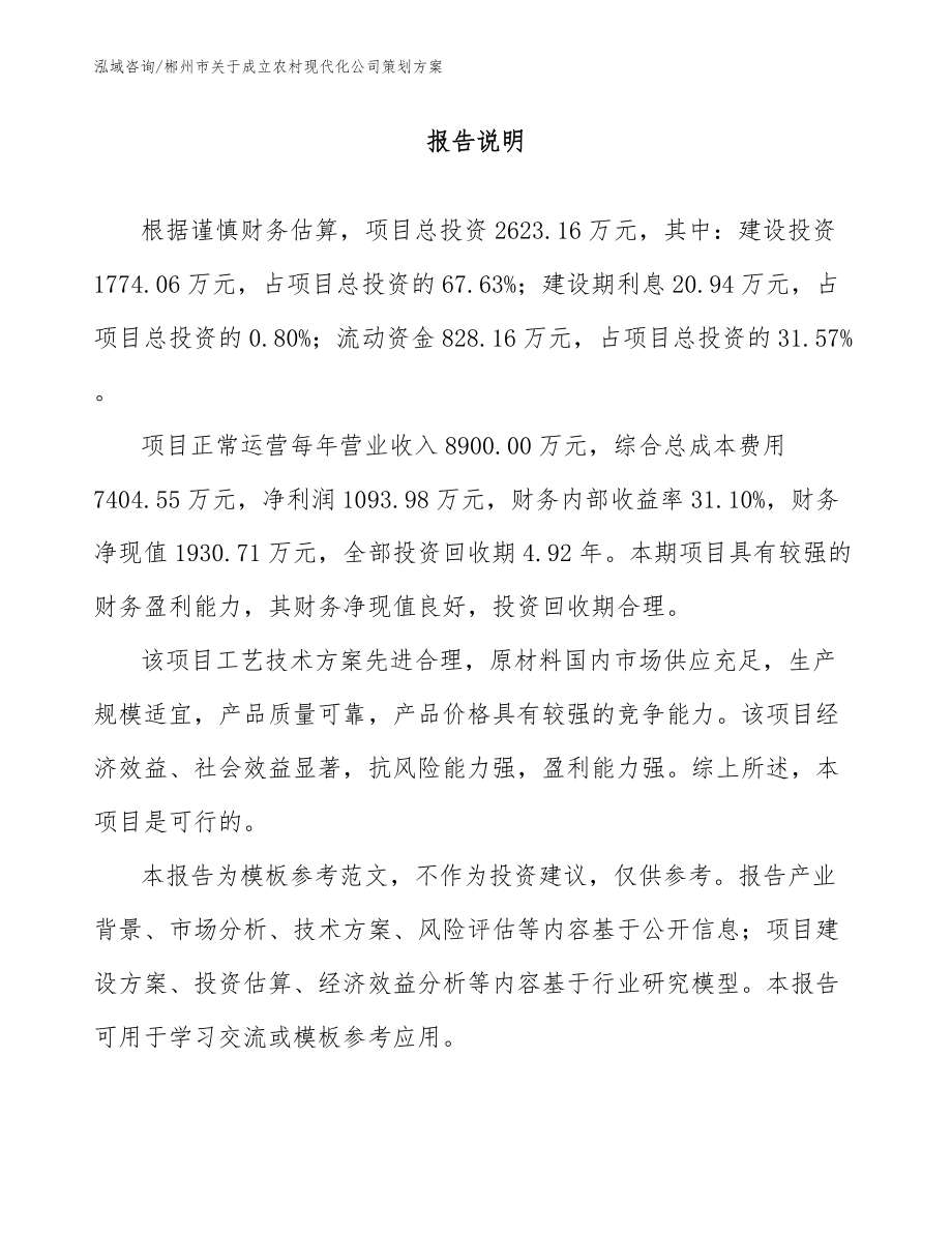 郴州市关于成立农村现代化公司策划方案参考模板_第1页