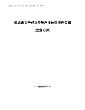 邹城市关于成立传统产业改造提升公司运营方案（范文）