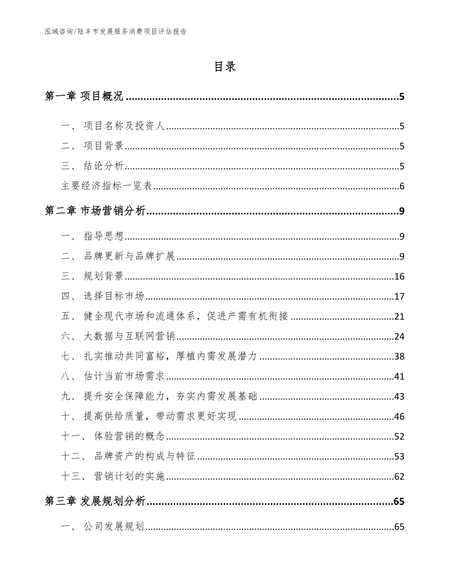 陆丰市发展服务消费项目评估报告范文模板_第1页