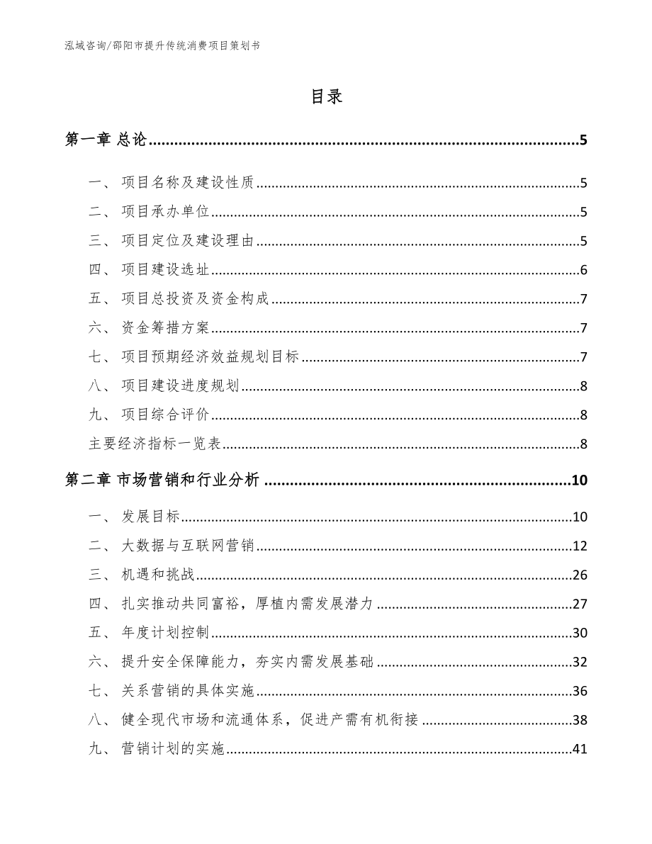 邵阳市提升传统消费项目策划书_第1页