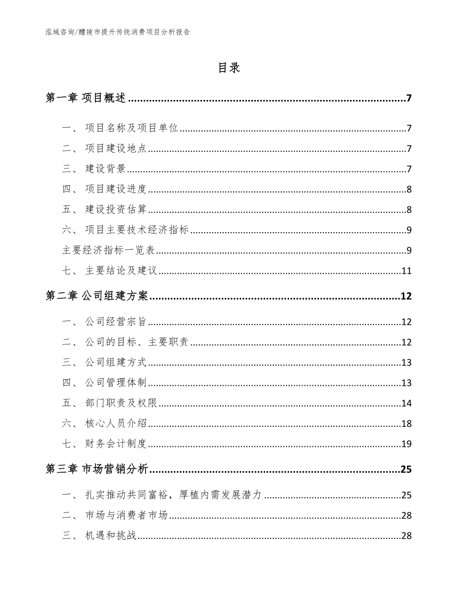 醴陵市提升传统消费项目分析报告_第1页
