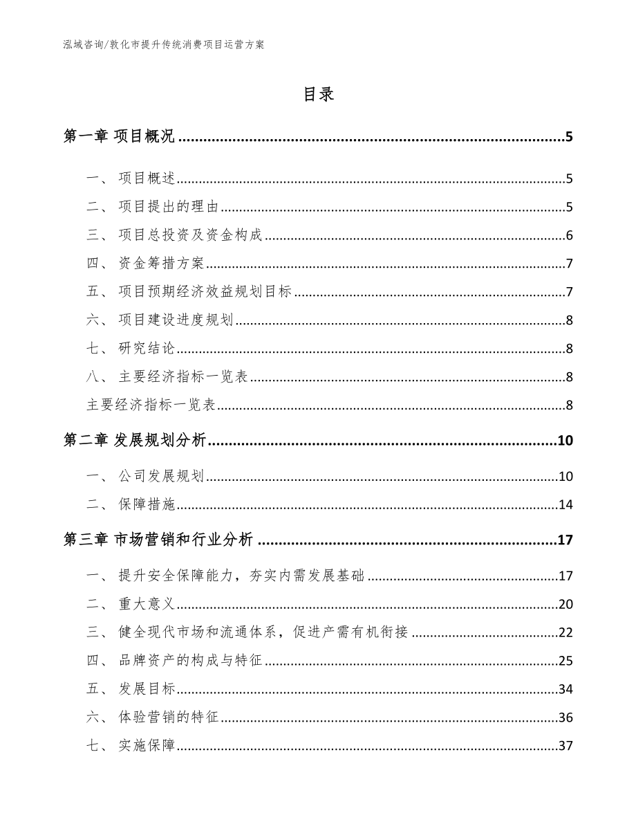 敦化市提升传统消费项目运营方案_第1页