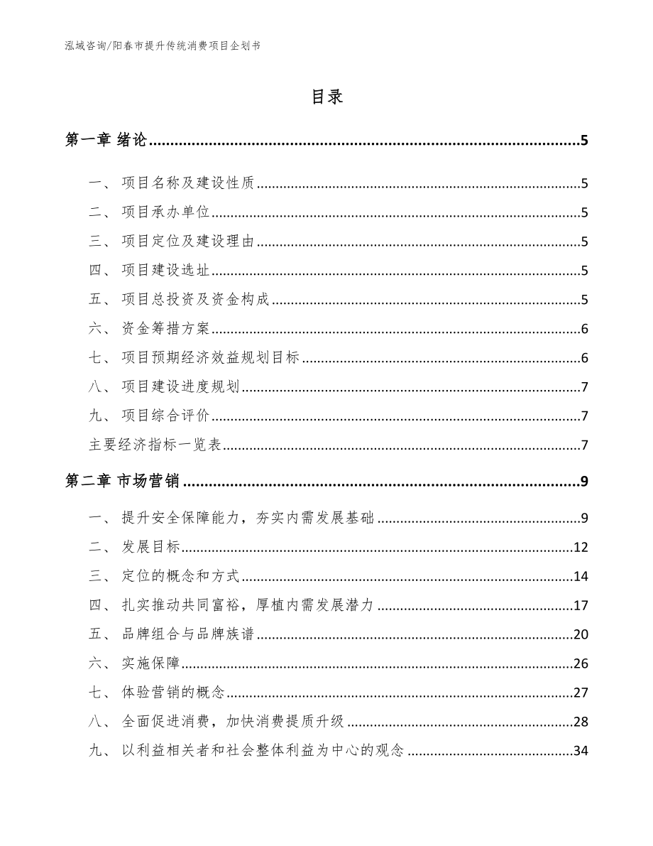 阳春市提升传统消费项目企划书_模板范文_第1页