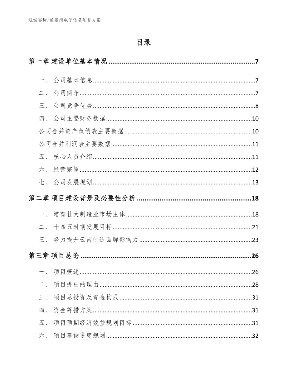 楚雄州电子信息项目方案范文_第1页