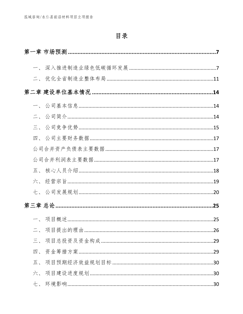 永仁县前沿材料项目立项报告【范文模板】_第1页