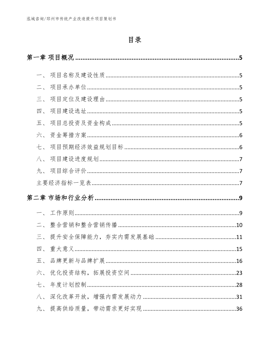 邳州市传统产业改造提升项目策划书范文模板_第1页