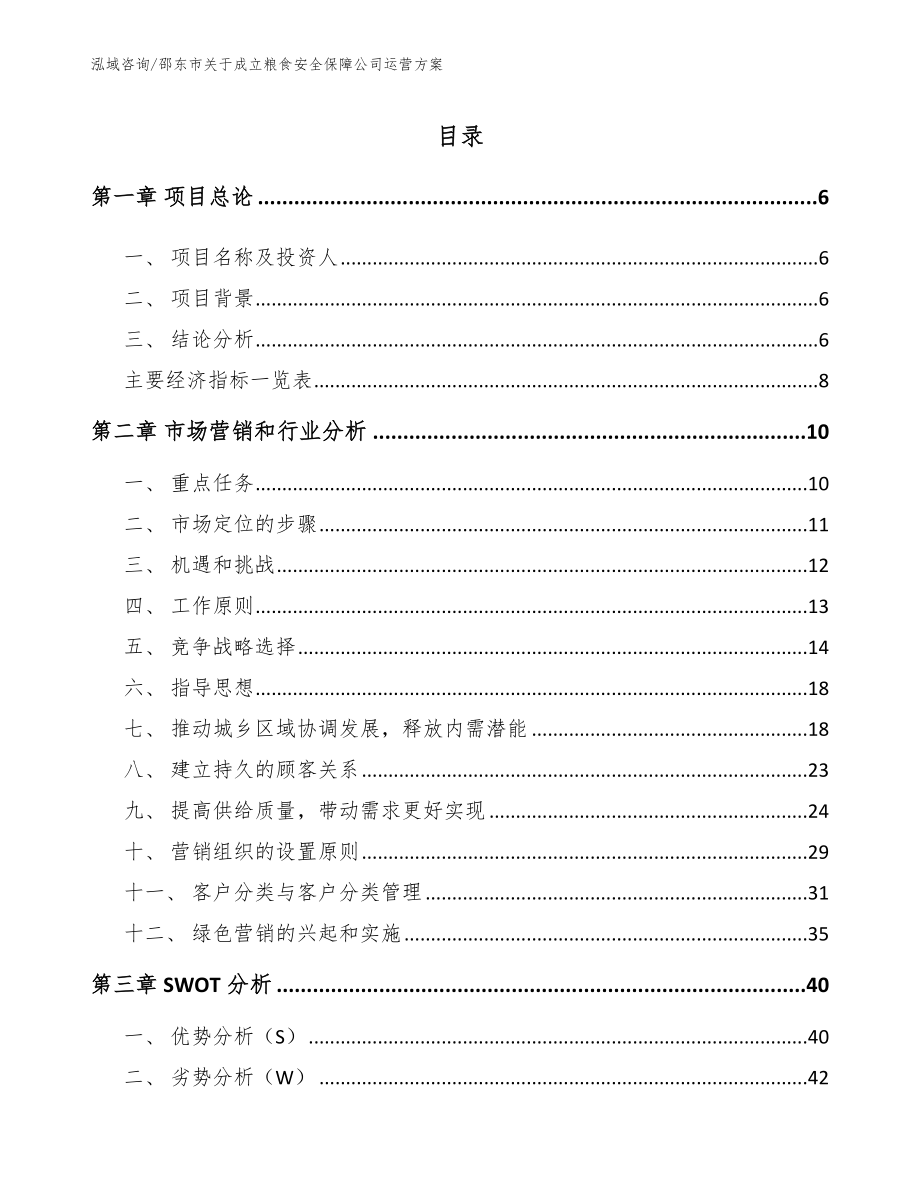 邵东市关于成立粮食安全保障公司运营方案【模板参考】_第1页