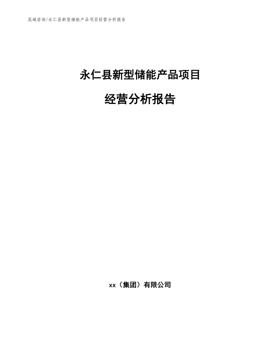 永仁县新型储能产品项目经营分析报告【参考模板】_第1页