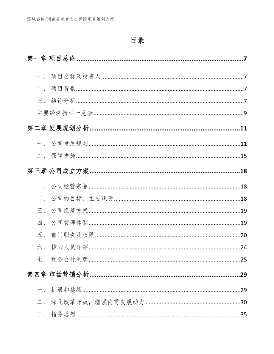 河南省粮食安全保障项目策划方案_第1页
