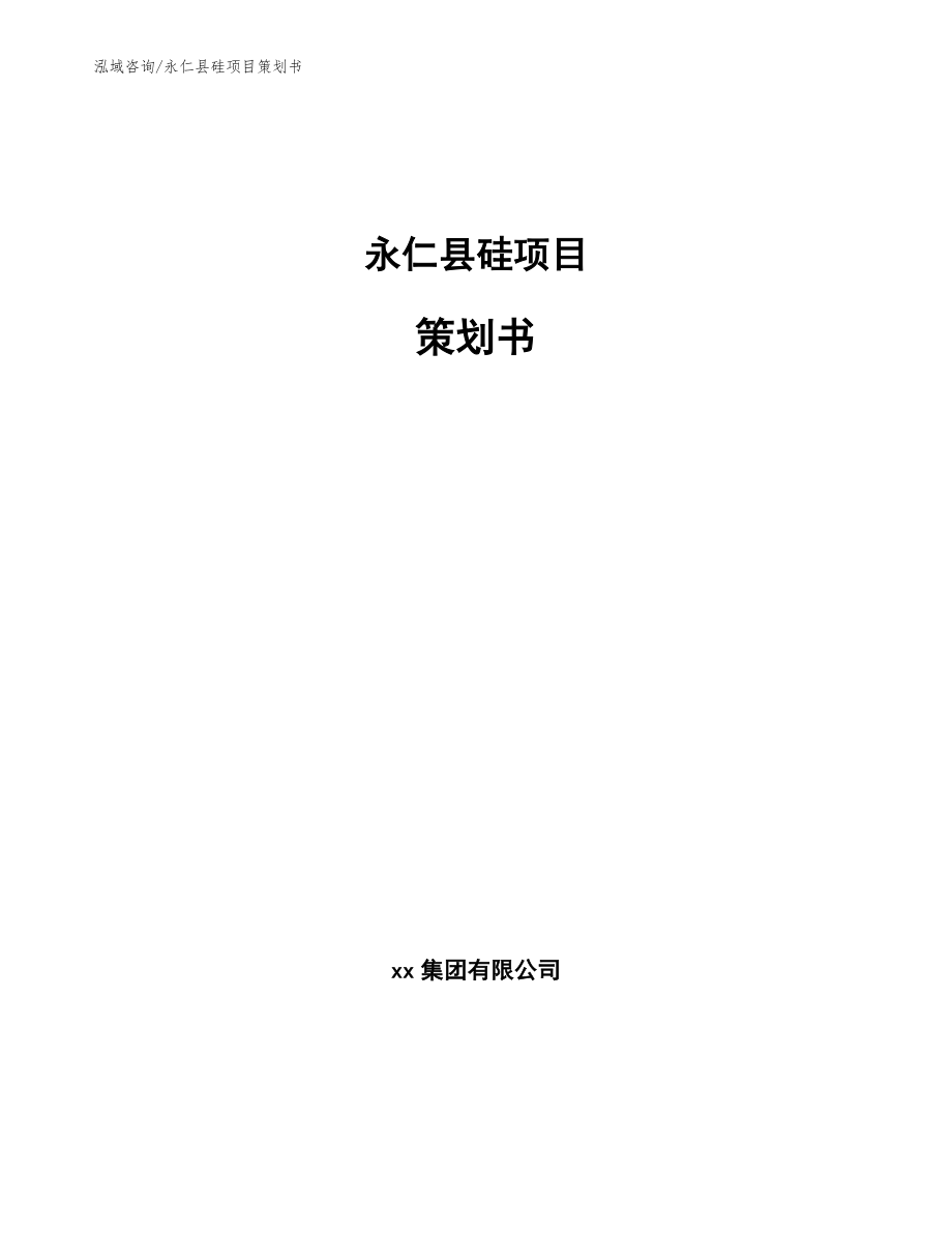 永仁县硅项目策划书_范文_第1页