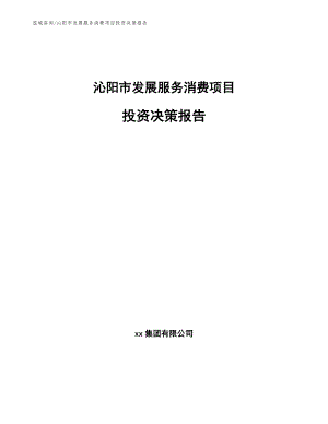 沁阳市发展服务消费项目投资决策报告【模板】