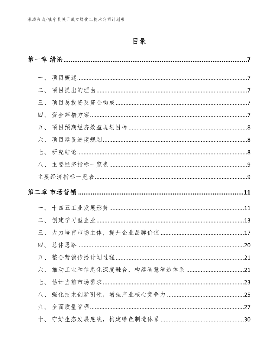 镇宁县关于成立煤化工技术公司计划书模板参考_第1页