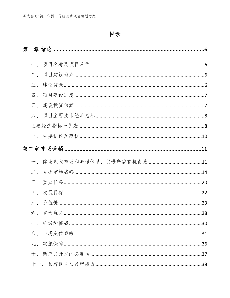 铜川市提升传统消费项目规划方案（范文参考）_第1页