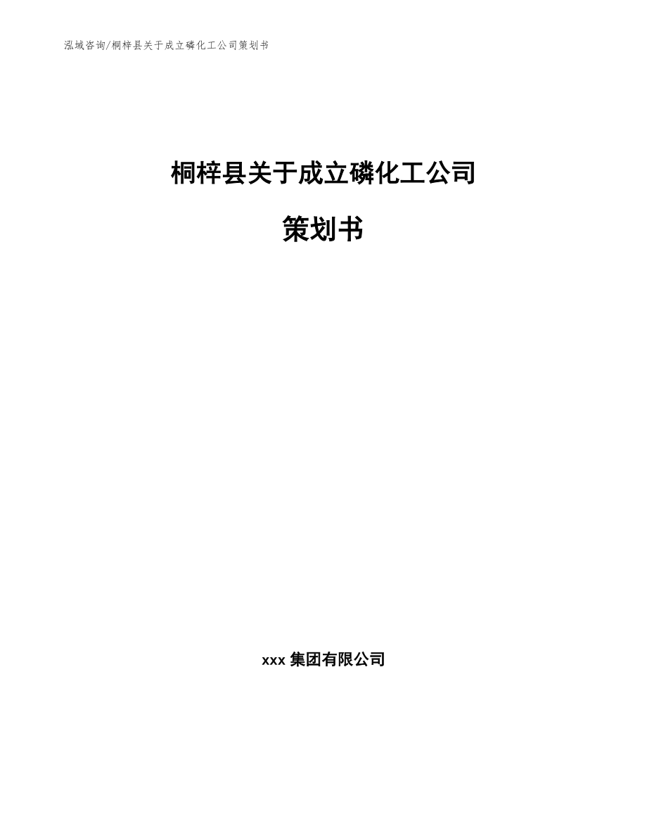 桐梓县关于成立磷化工公司策划书【模板参考】_第1页