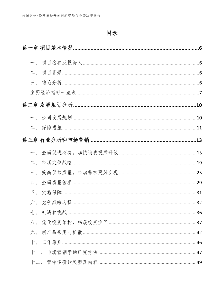 沁阳市提升传统消费项目投资决策报告（模板）_第1页