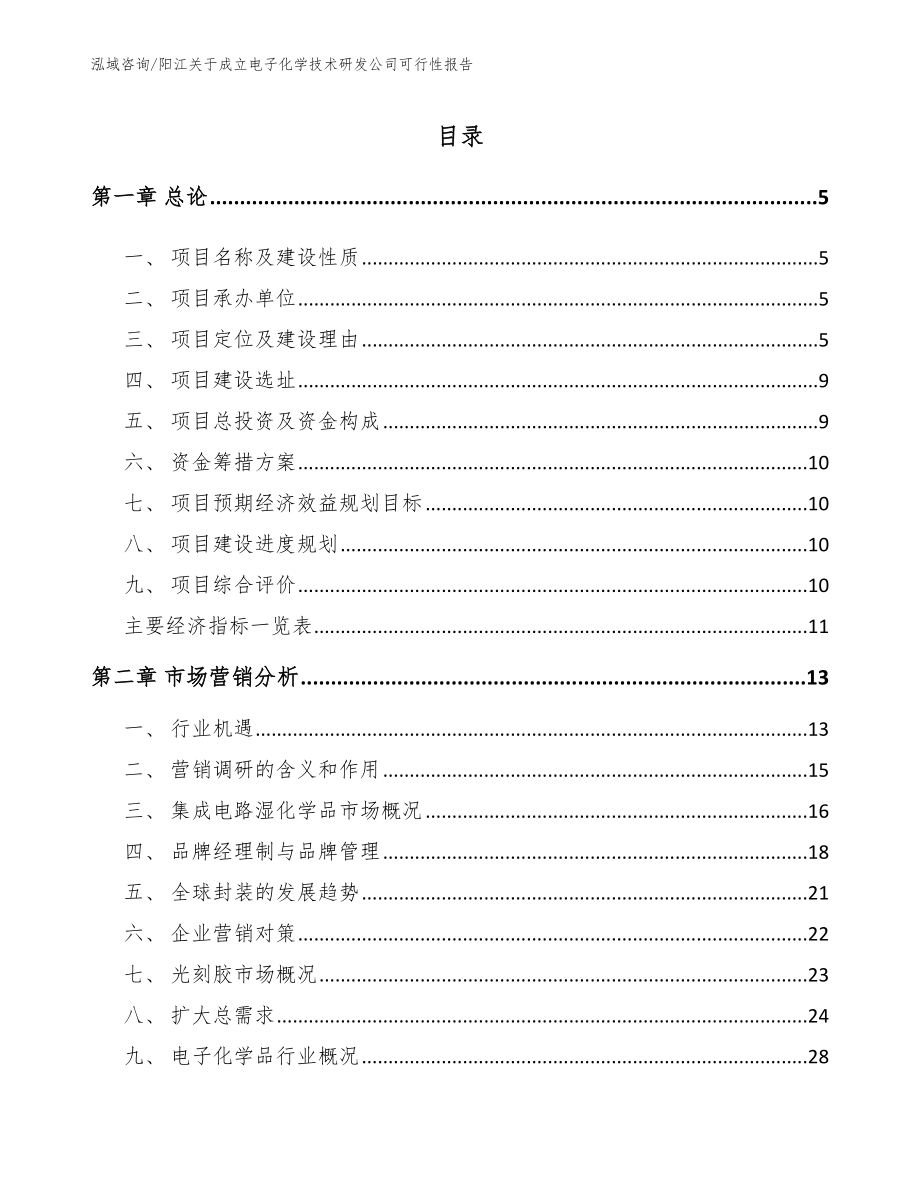 阳江关于成立电子化学技术研发公司可行性报告（参考范文）_第1页