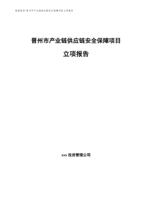 晋州市产业链供应链安全保障项目立项报告_参考模板