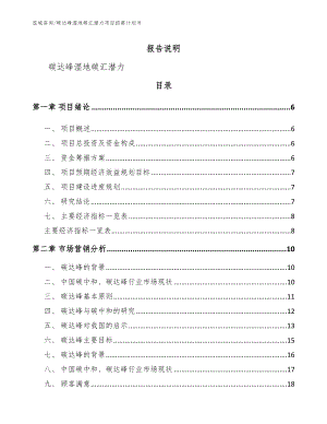 碳达峰湿地碳汇潜力项目招商计划书_模板