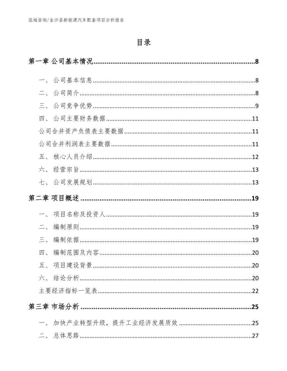 金沙县新能源汽车配套项目分析报告【范文】_第1页