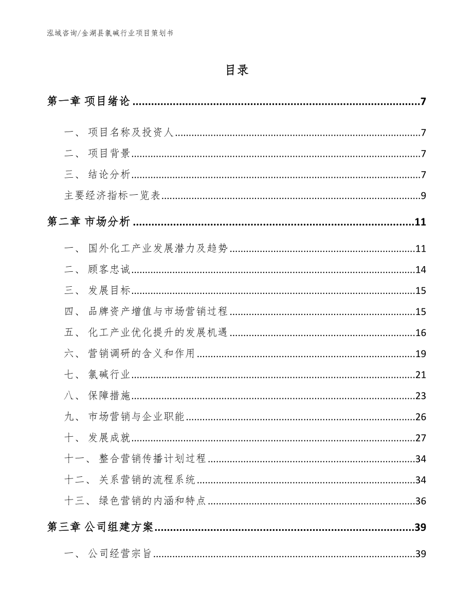 金湖县氯碱行业项目策划书（范文参考）_第1页