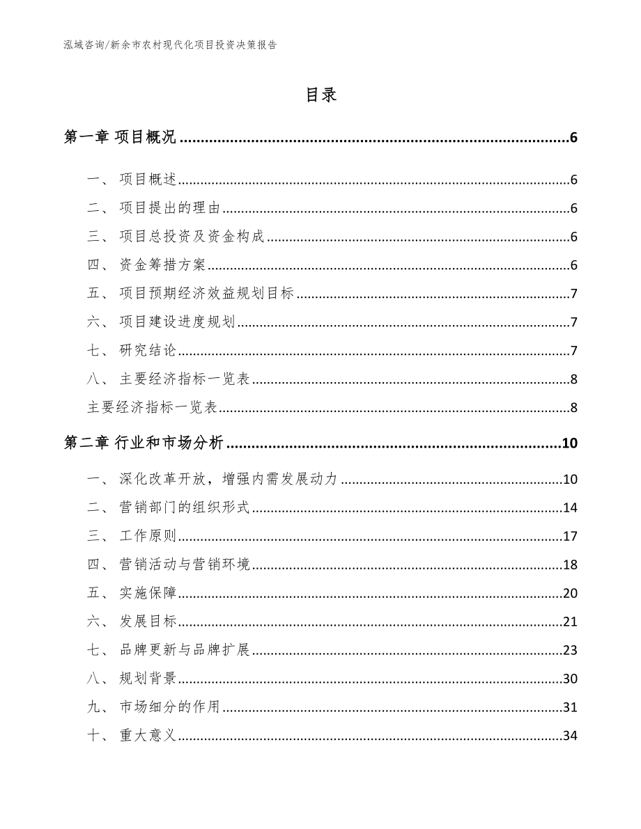 新余市农村现代化项目投资决策报告【模板参考】_第1页