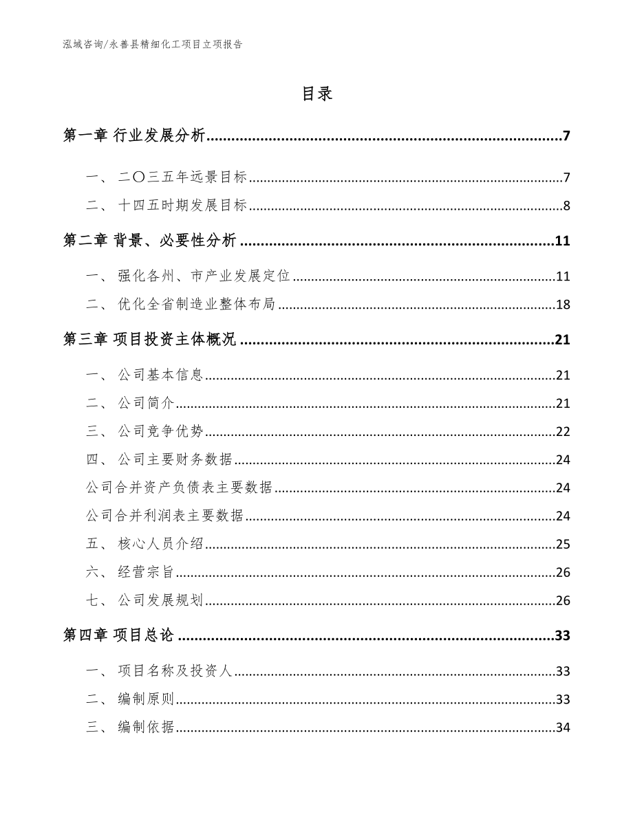 永善县精细化工项目立项报告_第1页