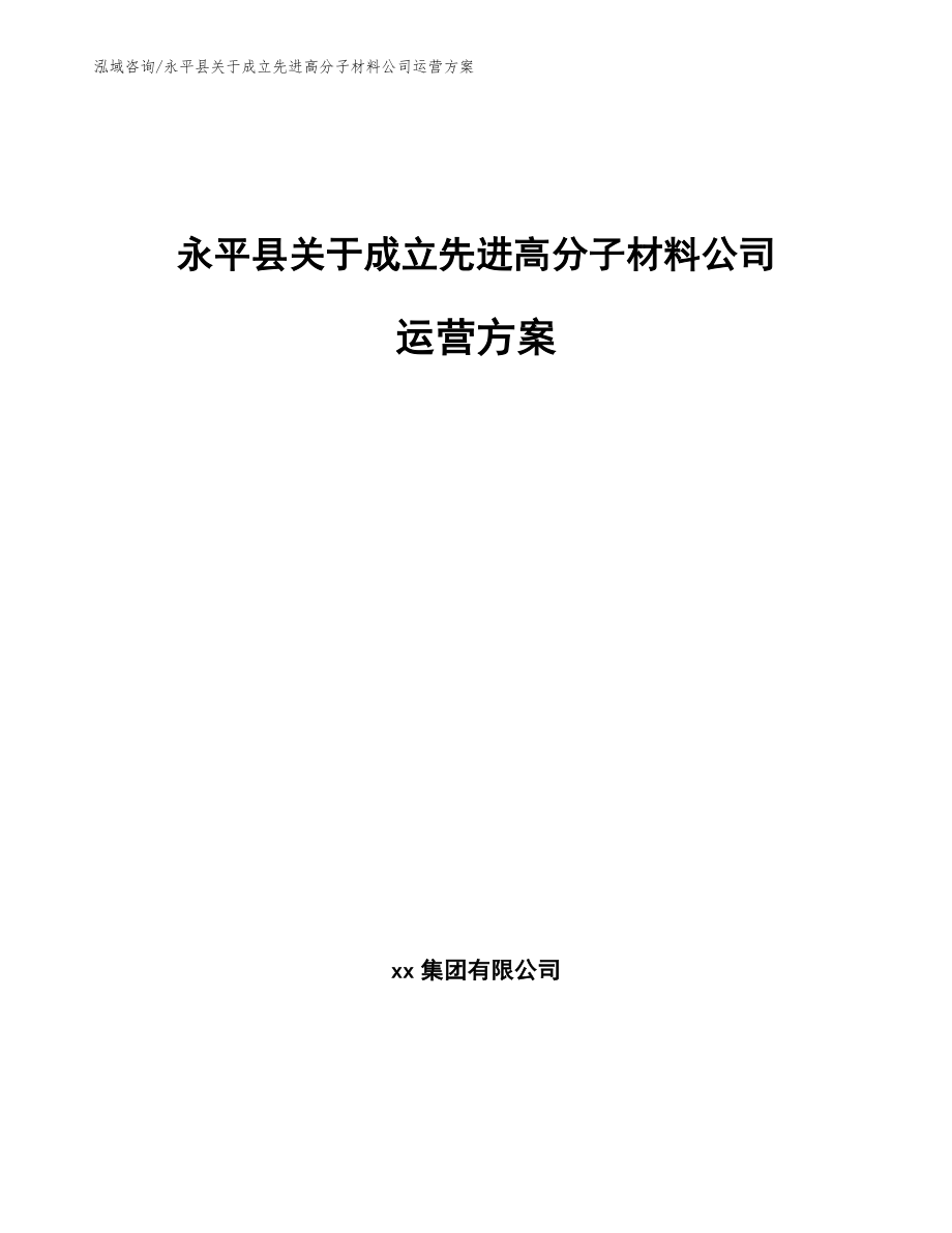 永平县关于成立先进高分子材料公司运营方案_第1页