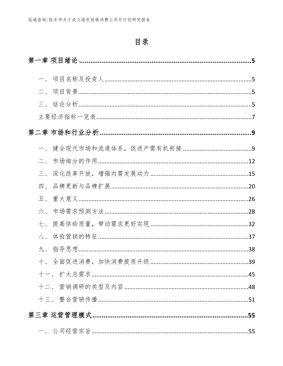 陆丰市关于成立绿色低碳消费公司可行性研究报告_第1页