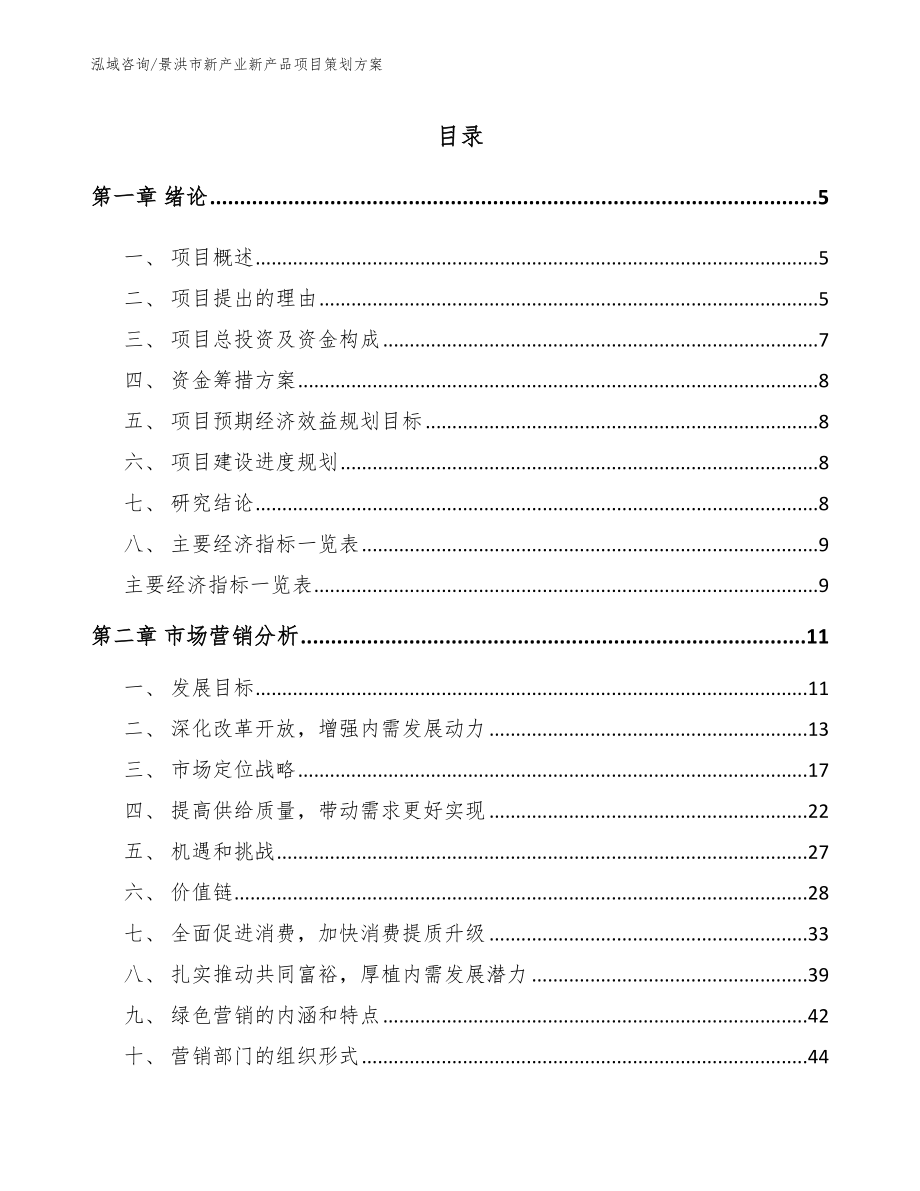 景洪市新产业新产品项目策划方案（范文模板）_第1页