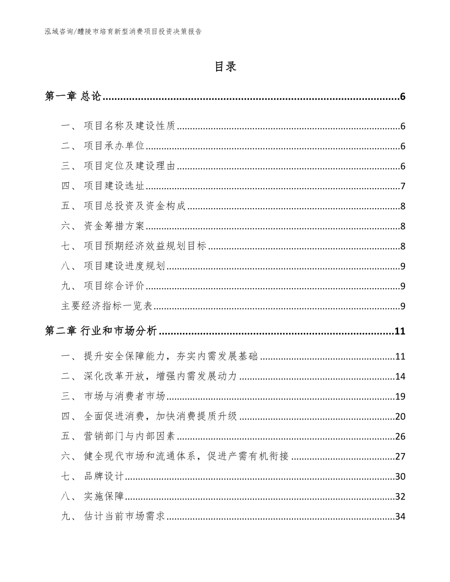 醴陵市培育新型消费项目投资决策报告【范文模板】_第1页
