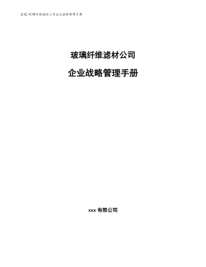 玻璃纤维滤材公司企业战略管理手册（范文）